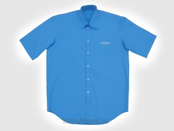 Рубашка мужская с коротким рукавом Александров цена, купить, продать, фото